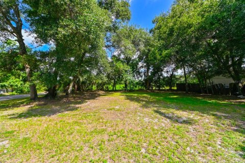 Terrain à vendre à Tampa, Floride № 1375264 - photo 4