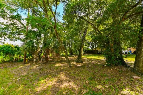 Terreno en venta en Tampa, Florida № 1375264 - foto 1