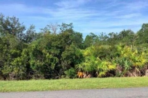 Terreno en venta en Orlando, Florida № 1340391 - foto 5