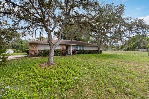 Villa ou maison à louer à Apopka, Floride: 4 chambres, 222.97 m2 № 1340082 - photo 2