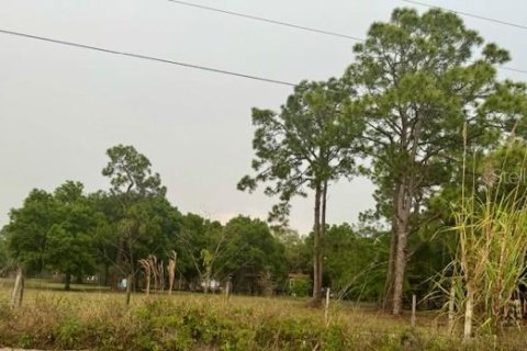 Terrain à vendre à Clewiston, Floride № 906773 - photo 14