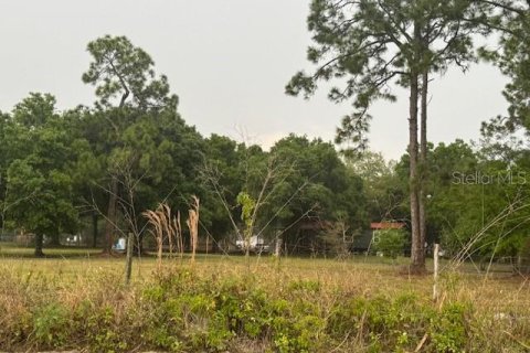 Land in Clewiston, Florida № 906773 - photo 16