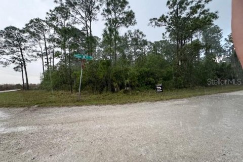 Terrain à vendre à Clewiston, Floride № 906773 - photo 6