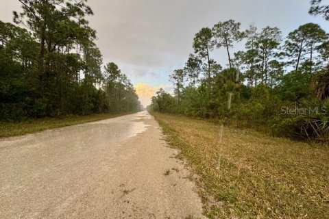Land in Clewiston, Florida № 906773 - photo 7