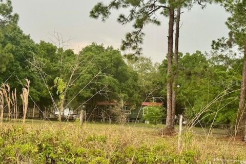 Terrain à vendre à Clewiston, Floride № 906773 - photo 15