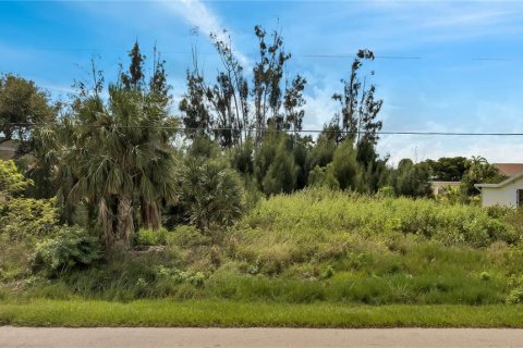 Terrain à vendre à Punta Gorda, Floride № 792362 - photo 7