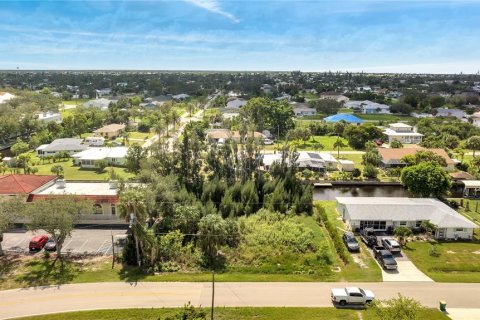 Land in Punta Gorda, Florida № 792362 - photo 2