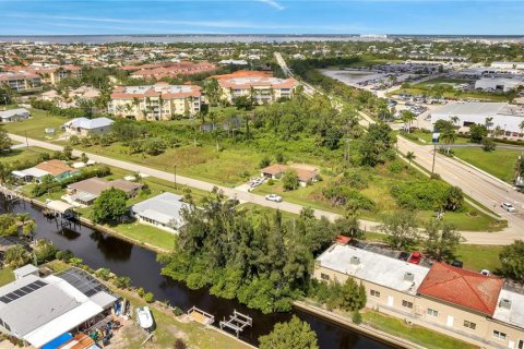 Terrain à vendre à Punta Gorda, Floride № 792362 - photo 6