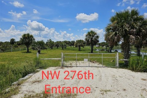 Land in Okeechobee, Florida № 950161 - photo 2