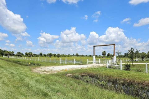 Land in Okeechobee, Florida № 950161 - photo 1