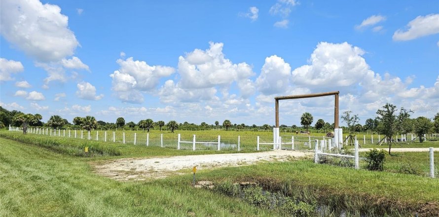 Land in Okeechobee, Florida № 950161