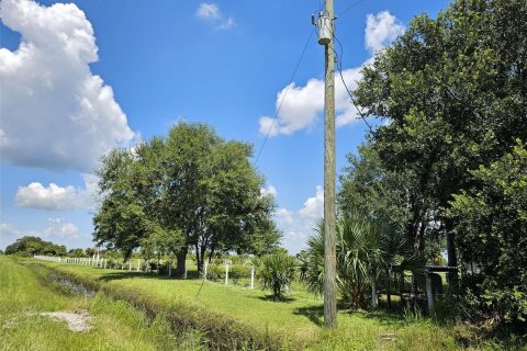 Land in Okeechobee, Florida № 950161 - photo 6