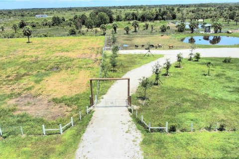 Land in Okeechobee, Florida № 950161 - photo 17