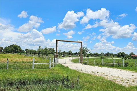 Land in Okeechobee, Florida № 950161 - photo 16