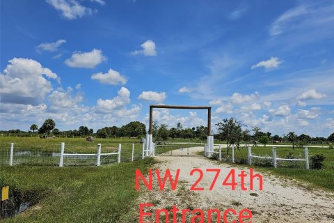 Land in Okeechobee, Florida № 950161 - photo 4