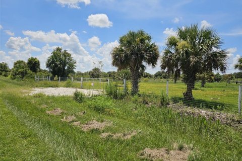 Land in Okeechobee, Florida № 950161 - photo 5