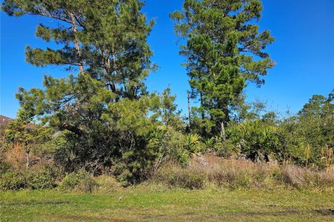 Купить земельный участок в Палм-Кост, Флорида № 932764 - фото 1