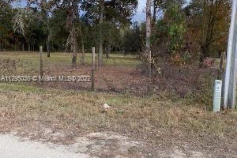 Terrain à vendre à Ocala, Floride № 148527 - photo 4