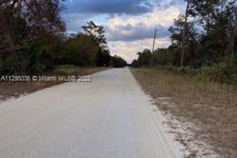 Купить земельный участок в Окала, Флорида № 148527 - фото 3