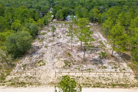 Terrain à vendre à Ocala, Floride № 1385471 - photo 6