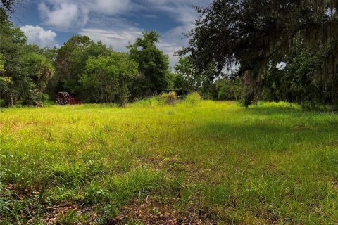 Land in Wimauma, Florida № 1336428 - photo 10