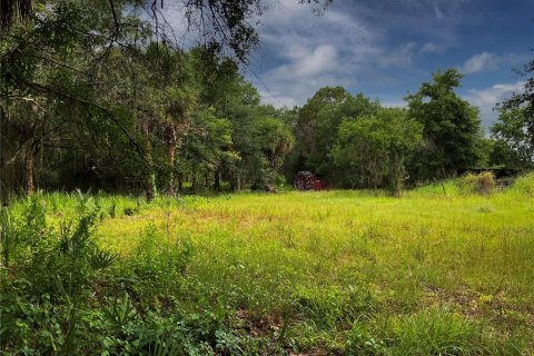 Land in Wimauma, Florida № 1336428 - photo 11