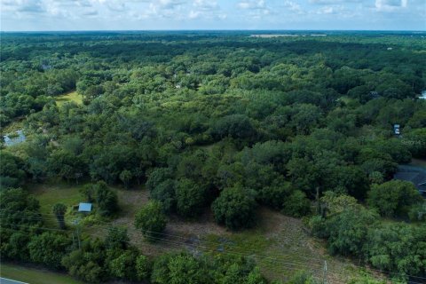 Terrain à vendre à Wimauma, Floride № 1336428 - photo 5