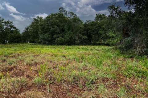 Land in Wimauma, Florida № 1336428 - photo 8