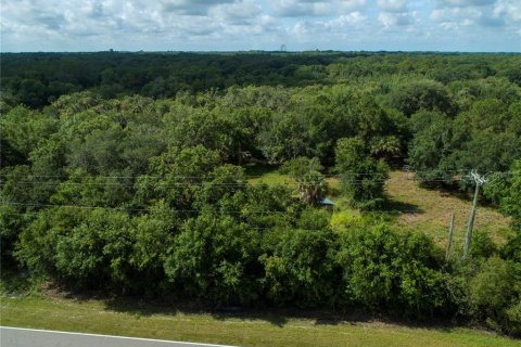 Terreno en venta en Wimauma, Florida № 1336428 - foto 2