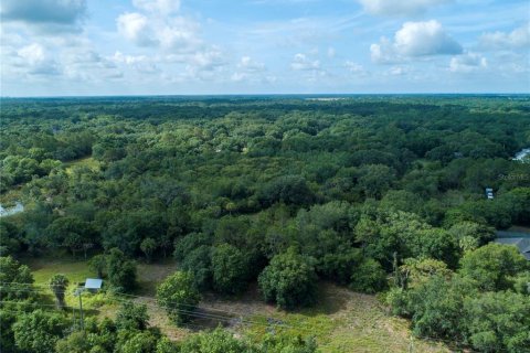 Land in Wimauma, Florida № 1336428 - photo 6