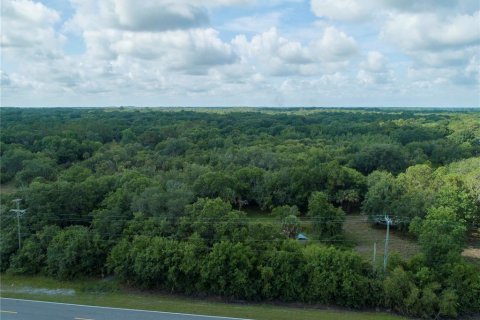 Land in Wimauma, Florida № 1336428 - photo 1