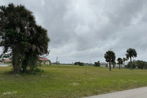 Terrain à vendre à Punta Gorda, Floride № 1112541 - photo 4