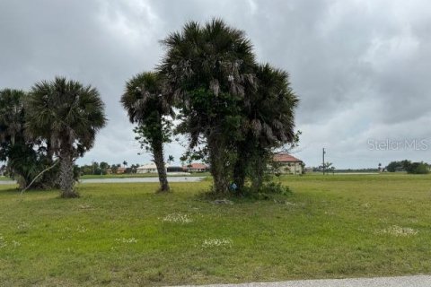 Terreno en venta en Punta Gorda, Florida № 1112541 - foto 3