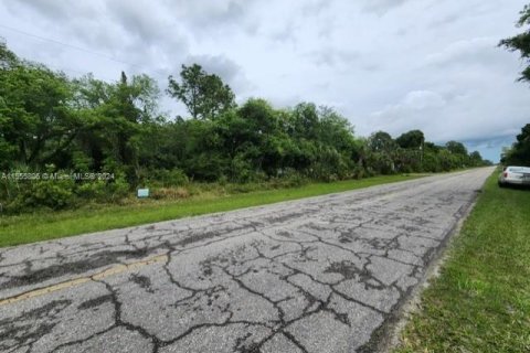 Land in Clewiston, Florida № 1094916 - photo 4
