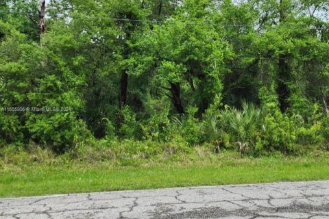 Terreno en venta en Clewiston, Florida № 1094916 - foto 2