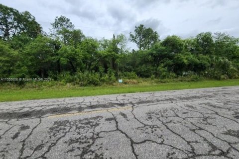 Terreno en venta en Clewiston, Florida № 1094916 - foto 5