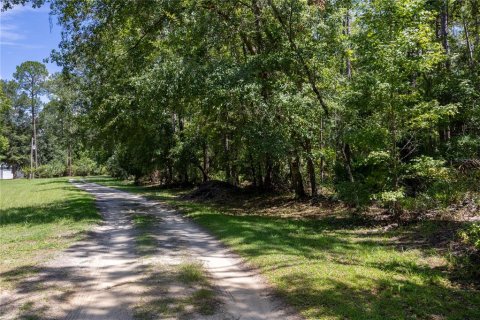 Land in Hawthorne, Florida № 1298500 - photo 9