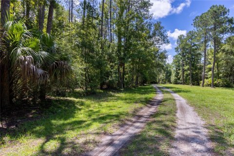 Land in Hawthorne, Florida № 1298500 - photo 7