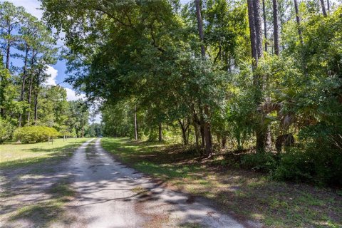 Land in Hawthorne, Florida № 1298500 - photo 10