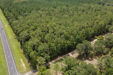 Terrain à vendre à Hawthorne, Floride № 1298500 - photo 23