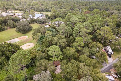 Land in Fort MC Coy, Florida № 1369694 - photo 14