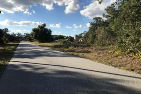 Купить земельный участок в Себринг, Флорида № 929970 - фото 3