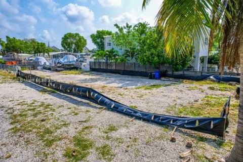 Terrain à vendre à Key Largo, Floride № 1173285 - photo 23