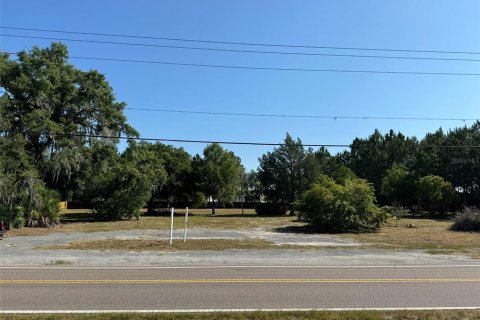 Immobilier commercial à vendre à Odessa, Floride: 462.65 m2 № 1210799 - photo 1