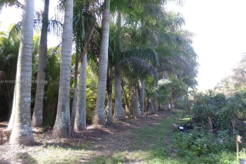 Land in Homestead, Florida № 951541 - photo 2