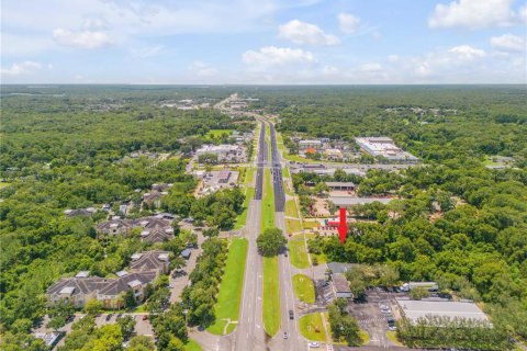 Land in DeLand, Florida № 1317831 - photo 2