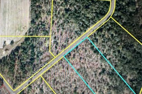 Land in Morriston, Florida № 1376073 - photo 2