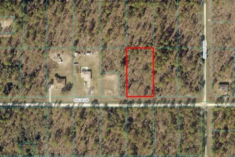 Terreno en venta en Dunnellon, Florida № 1376184 - foto 1