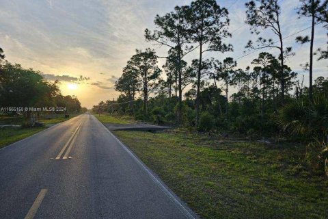 Land in Clewiston, Florida № 1380232 - photo 3