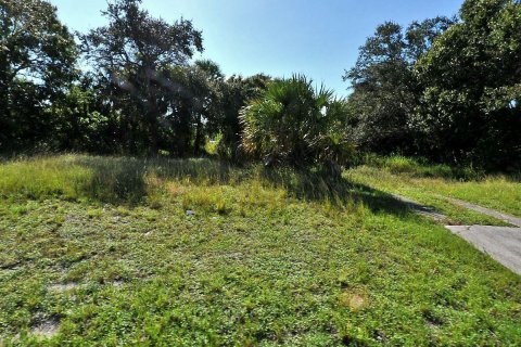 Land in Fort Pierce, Florida № 40315 - photo 1